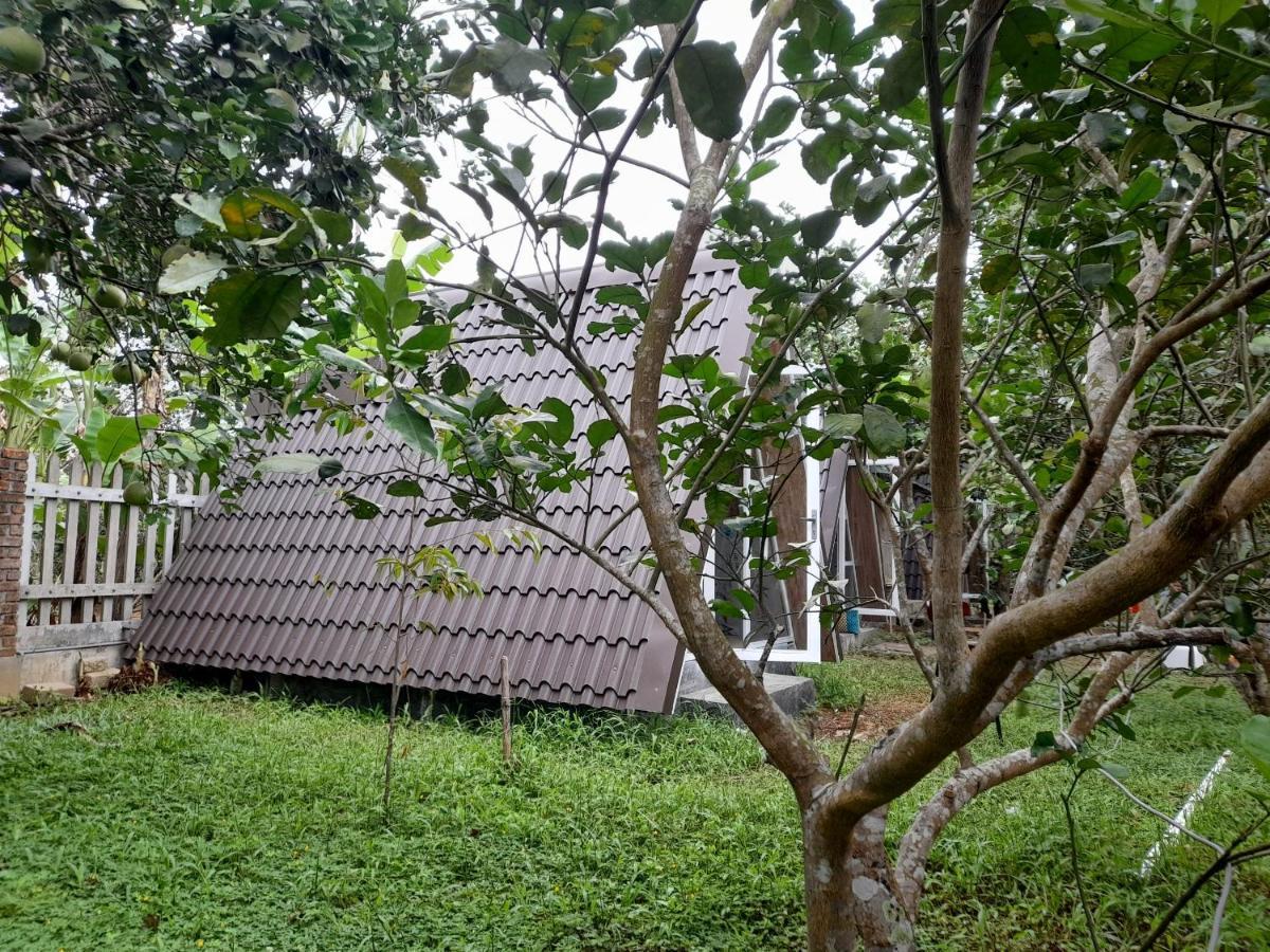 Tam Tinh Vien Homestay Hue Eksteriør bilde