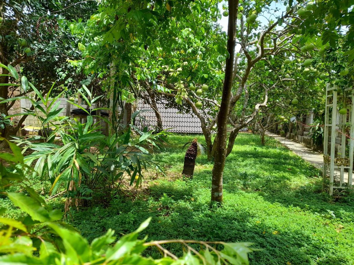 Tam Tinh Vien Homestay Hue Eksteriør bilde