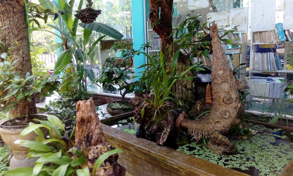 Tam Tinh Vien Homestay Hue Eksteriør bilde