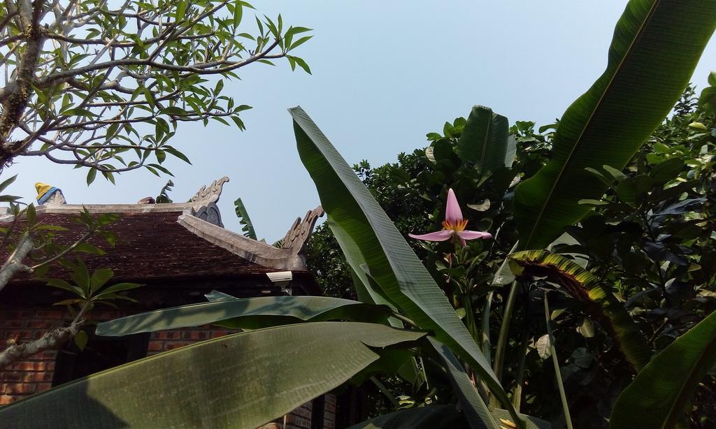 Tam Tinh Vien Homestay Hue Eksteriør bilde