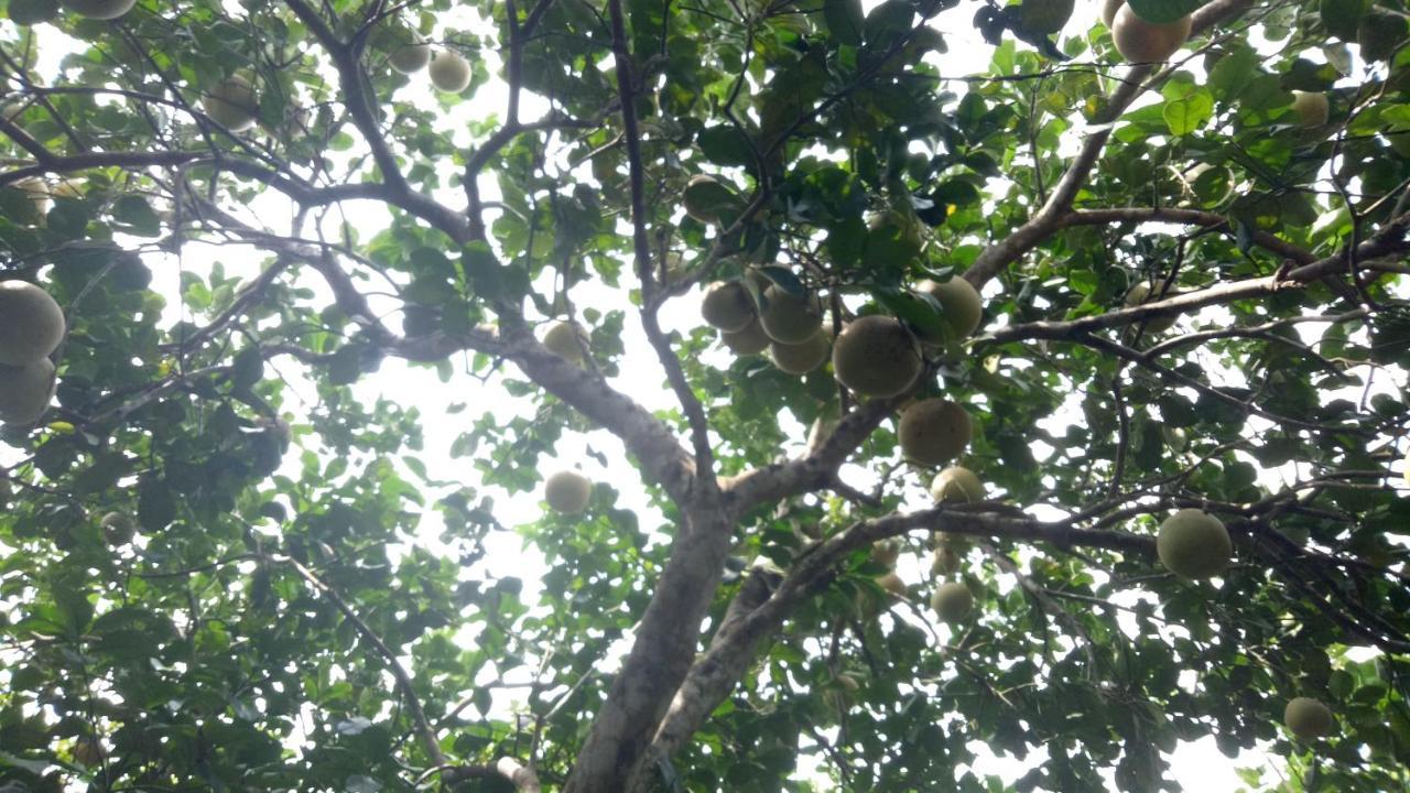 Tam Tinh Vien Homestay Hue Eksteriør bilde